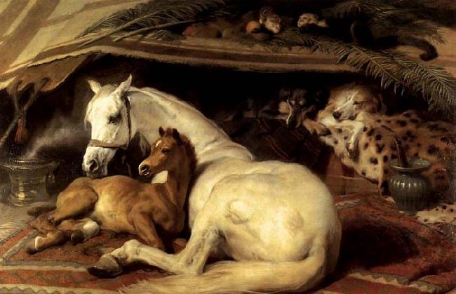 Sir Edwin Landseer The Arab Tent oil painting picture